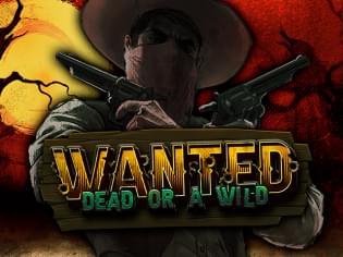 Wanted Dead or a Wild.